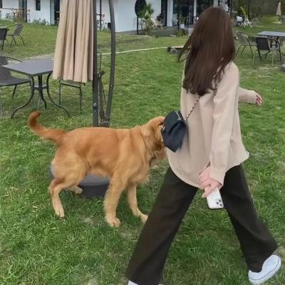 爱很美味2021